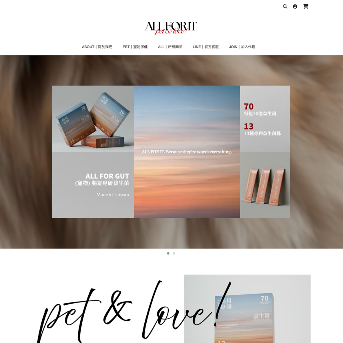 Allforit的購物車網站